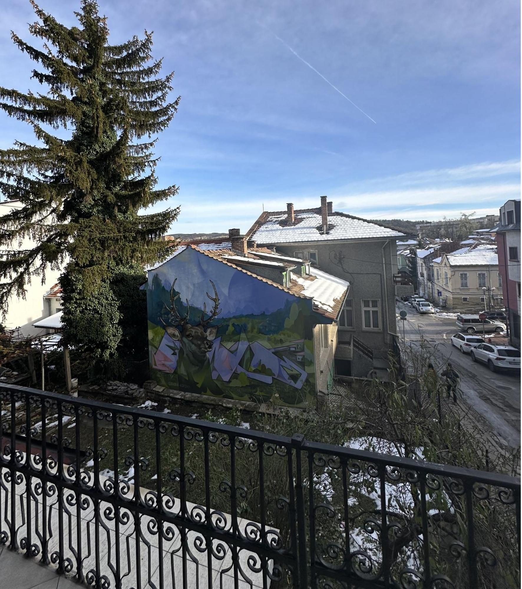 Guesthouse Petra Велико-Тырново Экстерьер фото