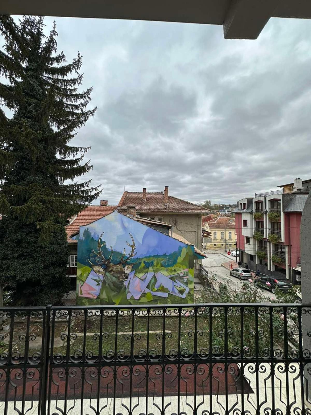 Guesthouse Petra Велико-Тырново Экстерьер фото